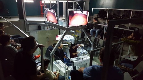 Pós-Graduação em videocirurgia veterinária CETAC-SP