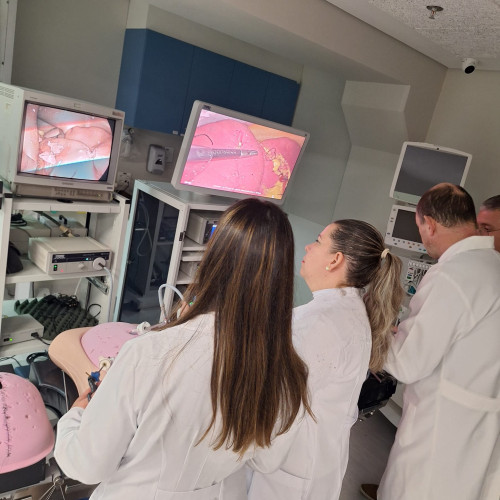 Curso de Extensão em Cirurgia Vídeo-Laparoscópica Avançada - Fase Final