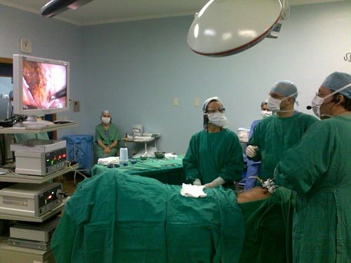 Curso de Aperfeiçoamento em Hernioplastia Vídeo-Endoscópica da parede abdominal