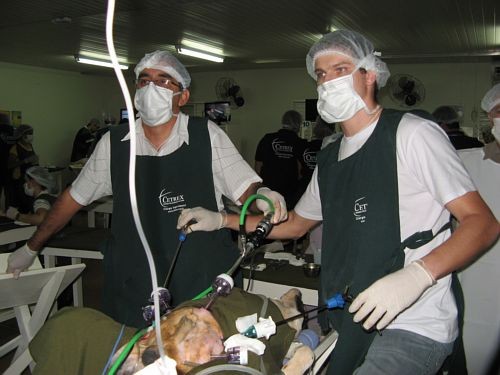Videocirurgia experimental no Cetrex em Brasília, DF